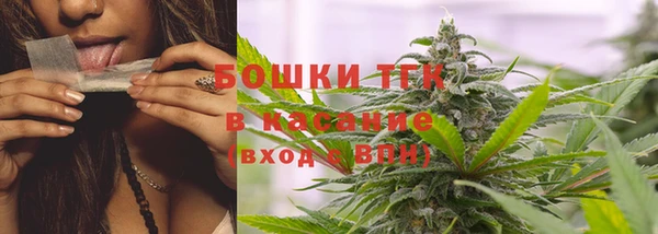 PSILOCYBIN Горняк