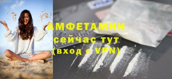 PSILOCYBIN Горняк