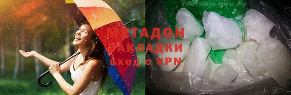 PSILOCYBIN Горняк