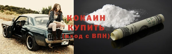 PSILOCYBIN Горняк