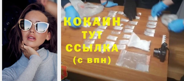 PSILOCYBIN Горняк