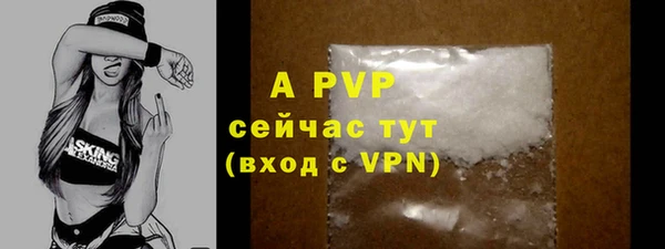 PSILOCYBIN Горняк