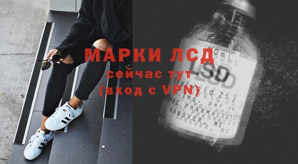 PSILOCYBIN Горняк