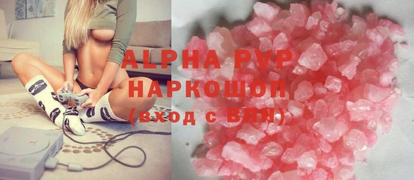 PSILOCYBIN Горняк
