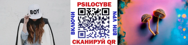 Псилоцибиновые грибы Psilocybe  Купить где  Воронеж 